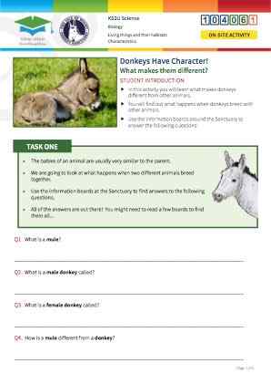 Click to view Resource 104061 Donkeys Have Character!