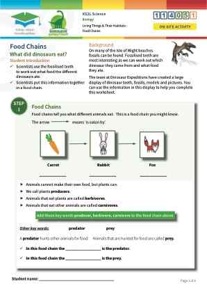 Click to view Resource 114051 Food Chains