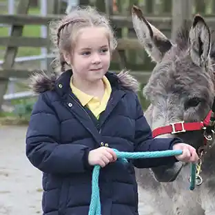 Children walking a donkey on their Hampshire residential