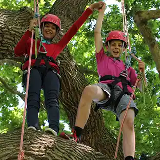 Children climbing a tree during an outdoor activity on the Hampshire