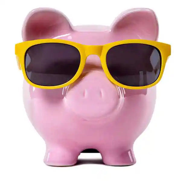 Special offers for South Coast Primary School Trips Up to 30% OFF