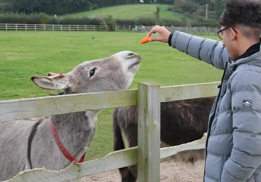 Animal attractions for Key Stage 3 Residentials