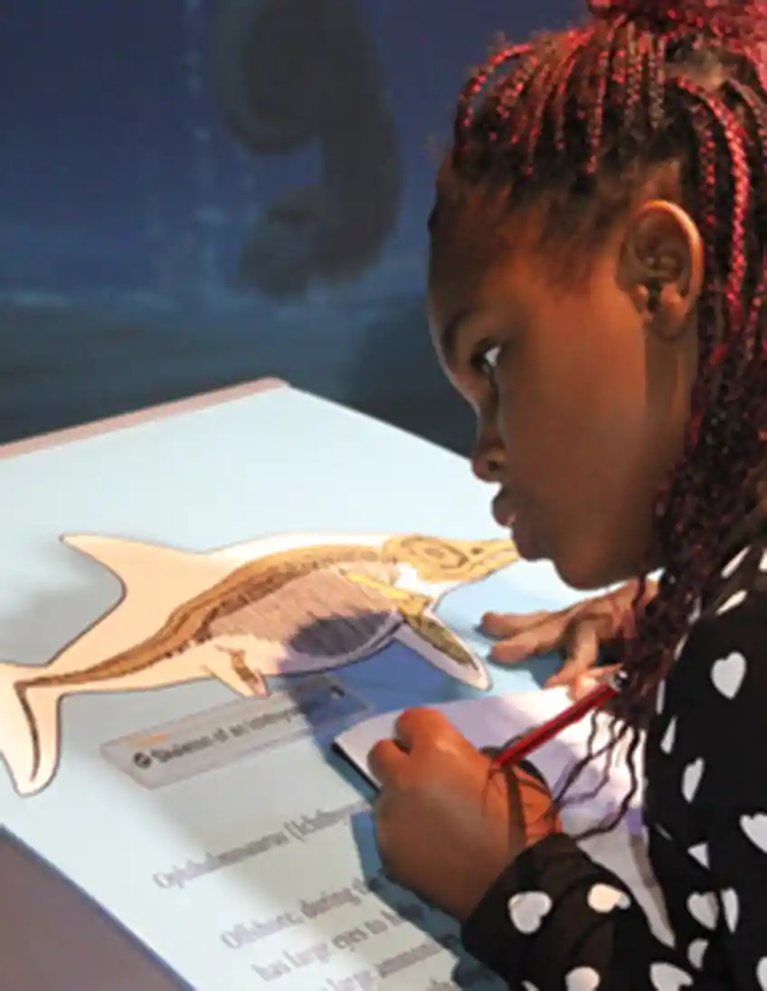 Business Studies school trips and educational resources Isle of Wight