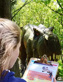 Cross-Curricular educational resources for school trips