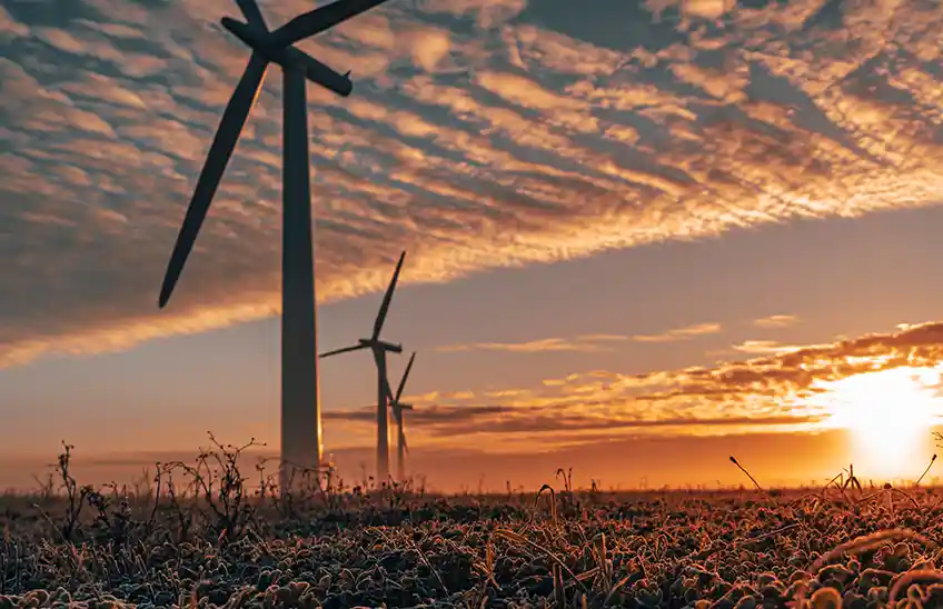 Climate, Weather & Environment study options