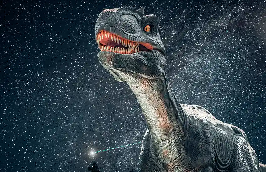 Dinosaurs study options