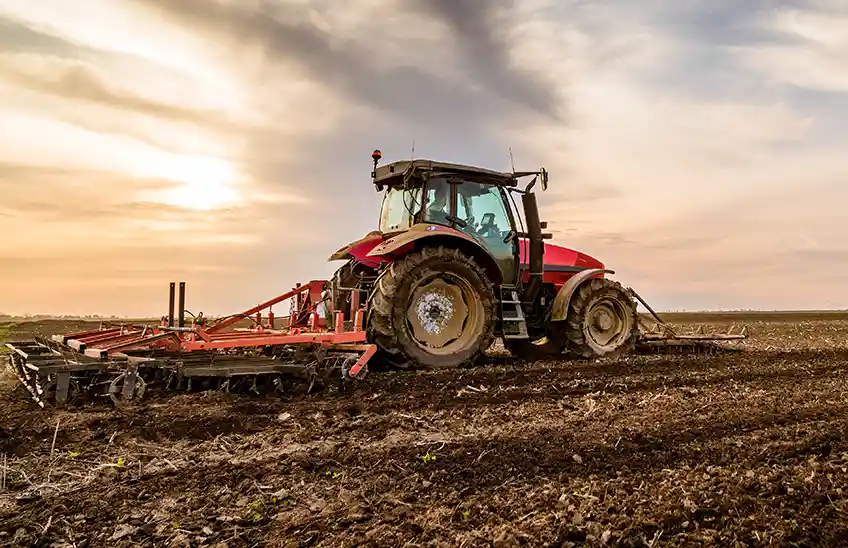 Agriculture, Food & Healthy Living study options
