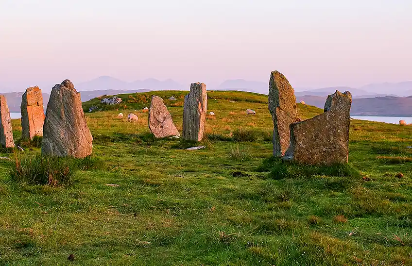Stone Age / Neolithic study options