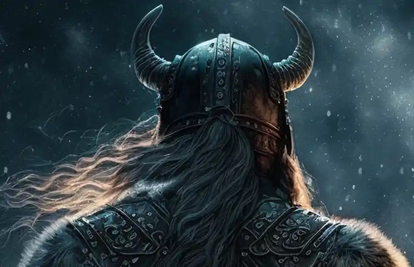 Vikings study options