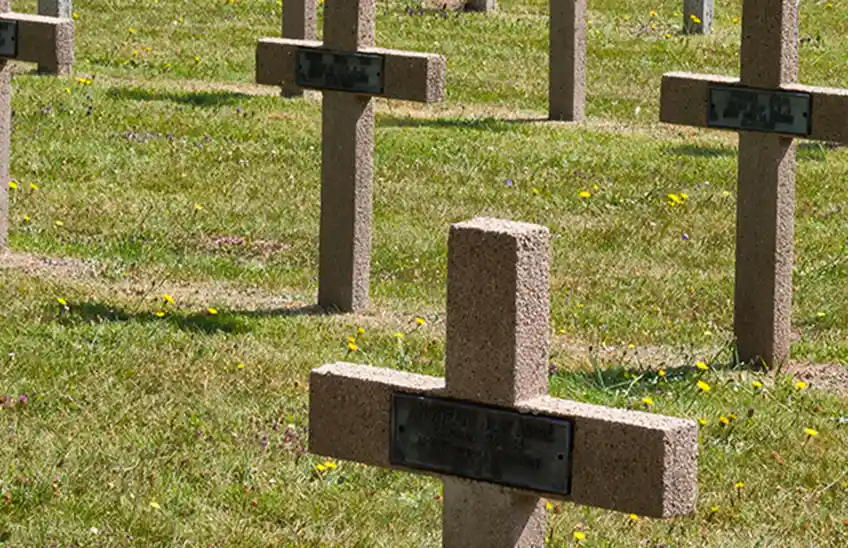 World War I study options